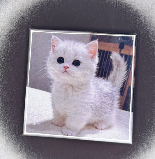 Custom Square Photo Magnets. 2.5x2.5 Custom Square Photo Magnets